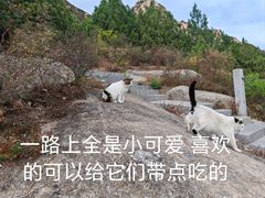 -北京凤凰岭