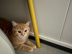 -荔康动物医院(康王北路店)