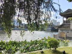 -荔湾湖公园