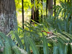 -桤木河湿地公园