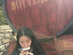 -哈利波特魔法世界