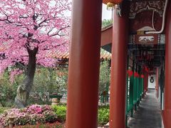 -珠海圆明新园