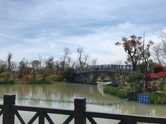 -上海长兴岛郊野公园