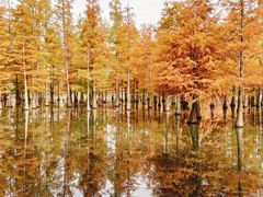 -白鹭湾湿地公园