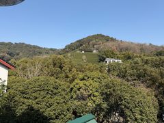 -阿巧茶庄