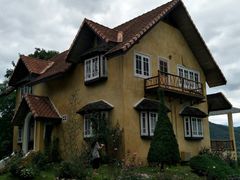 -黄色小屋