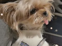 -FAELING PETS美天灵宠物(富力广场店)