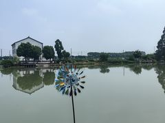 -水岸居湖景农家乐·阳澄湖大闸蟹