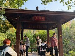 -青龙山国家森林公园