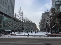 -北海道厅旧本厅舍(旧本庁舎)