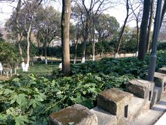 -上海市保健医疗中心(华东疗养院)