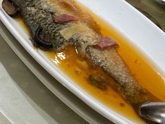 火焖鲥鱼-顺风海鲜港(金玉兰店)