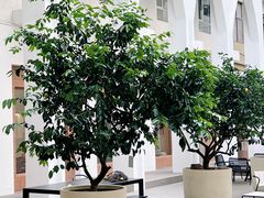 -洪小鹏生活美学馆(领SHOW天地店)