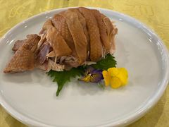 手撕咸香鸡-同和居(月坛店)