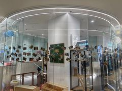 -babydoll猫舍·米努特·德文·缅因(久光中心店)