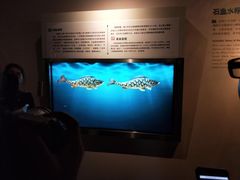 -白鹤梁水下博物馆