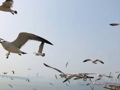 -星海广场