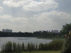 -武汉园博园(武汉自然博物馆)