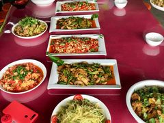 -金谷域澳洲庄园