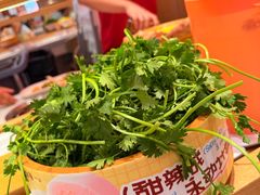 -龍歌自助小火锅(崂山丽达店)