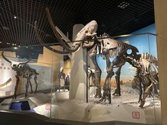 -国家自然博物馆