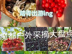 -阿林有机农庄