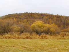 -塞罕坝国家级自然保护区