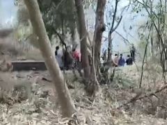 -大湾区中央湿地公园