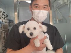 -宠颐生中康贝怡动物医院