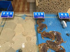-双井轩(双井店)