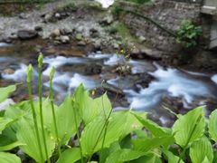 -西岭雪山大飞水景区