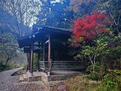 -楠溪江石桅岩