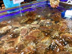 -盒马鲜生(大成店)
