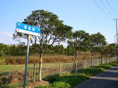 -上海长兴岛郊野公园