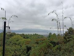 -蝴蝶泉公园