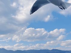 -海埂大坝
