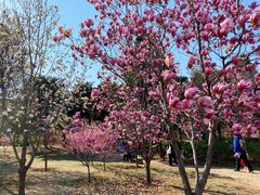 -北京西山国家森林公园