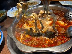 -青山青豆花·笑禅豆腐鱼(黄泥塝店)