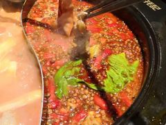 -蜀滋香鲜鱼火锅(黄金路店)