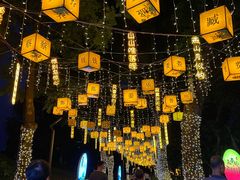 -广西壮族自治区药用植物园