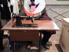 -和平菓局(王府井店)