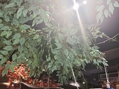 -城墙拐拐火锅(三峡广场黑金冠店)
