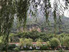 android_upload_pic-云台山风景名胜区