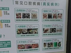 -东莞宠友24H宠物中心医院·转诊夜诊·异宠(新河北路院)