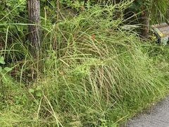-苍山世界地质公园·石门关大峡谷