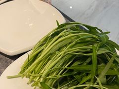 -张凯达·深海石斑鱼潮汕火锅(十五年品牌•虹桥天街店)
