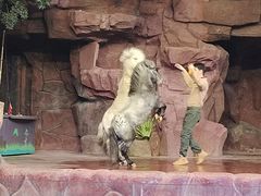 -长鹿旅游休博园