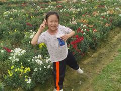 -广东花都香草世界旅游度假区