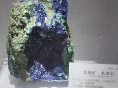 -湖南省地质博物馆