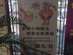 -兴芮温泉度假区